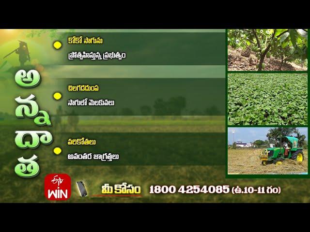 4th November 2024 | Annadata | అన్నదాత | Full Episode | ETV Telugu