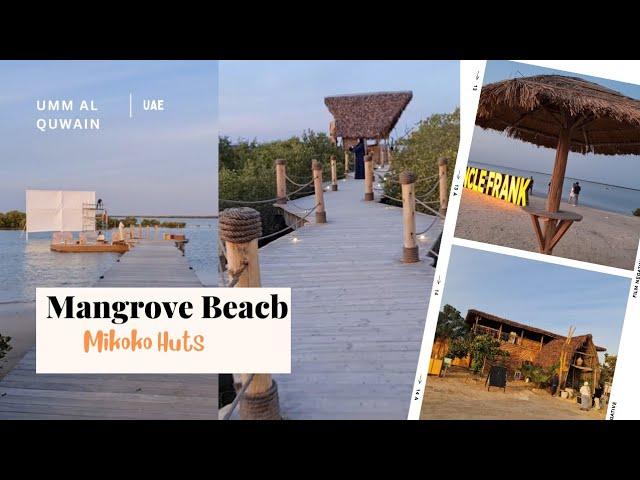 MANGROVE BEACH In Umm Al Quwain-2024 / Best Views At MIKOKO HUTS / UAE 