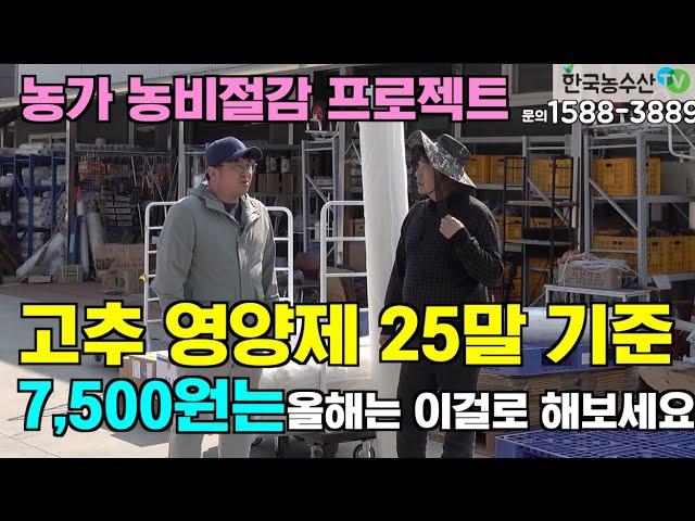 [한국농수산TV] 고추 영앙제 25말 기준 7,500원 올해는 이걸로 해보세요