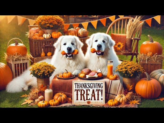 Pyro & Neese's First Thanksgiving Day Treat! 