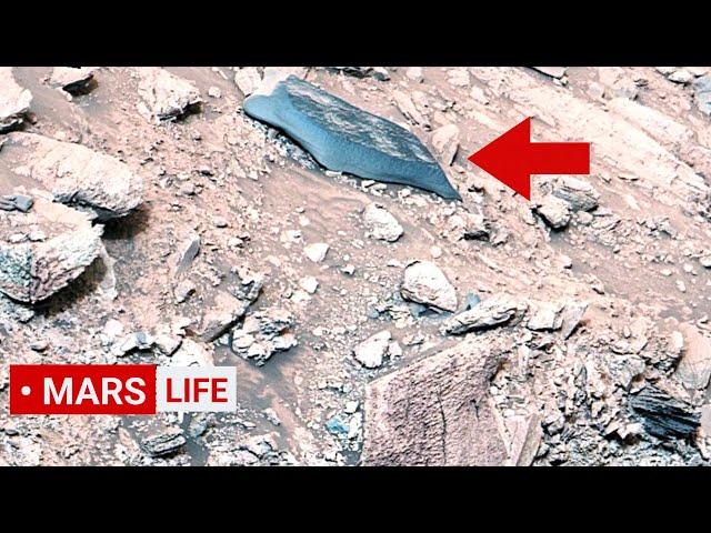 NASA Mars Rover Sent Most Incredible Footage Of Mars' Area Formed by 'Flood'! Curiosity' Mars In 4K