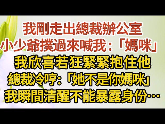 《一胎兩寶》第04集： 我剛走出總裁辦公室，小少爺撲過來喊我：「媽咪」，我欣喜若狂緊緊抱住他，總裁冷哼：「她不是你媽咪」，我瞬間清醒現還不能暴露身份…… #婚姻#情感 #愛情#甜寵#故事#小說#霸總