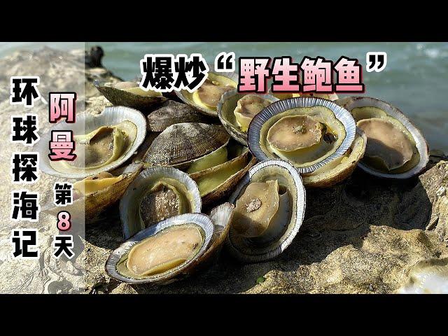 《环球探海记》阿曼~第8天：今天带1位英国朋友去赶海，让他感受到什么是“野生鲍鱼”泛滥！