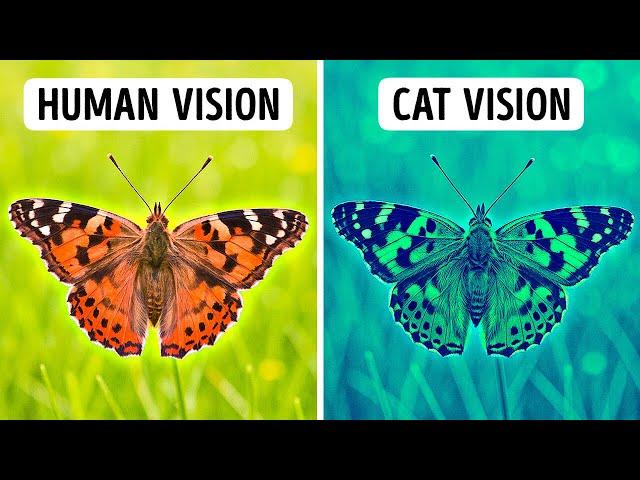 100+ Facts So Wild You’ll Google Them All