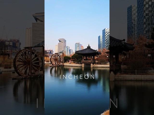 Incheon Songdo Park -5 degrees but pretty #korea #asia #travel #travelvlog