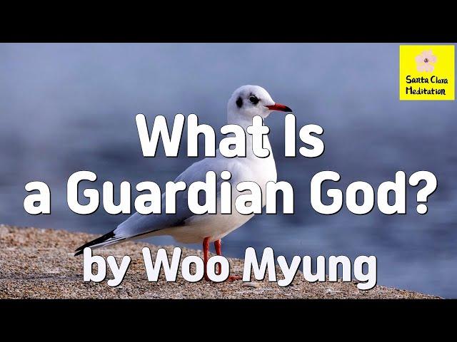 Master Woo Myung - Book - The Book of Wisdom - What Is a Guardian God?