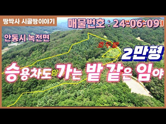 (24. 06. 09) 해발500고지에 위치한 산림경영부지.  포장도로가 잘 접해 임야상단부까지 차량진입가능. 밭으로 사용 가능한 약500평에 호두나무 식재.