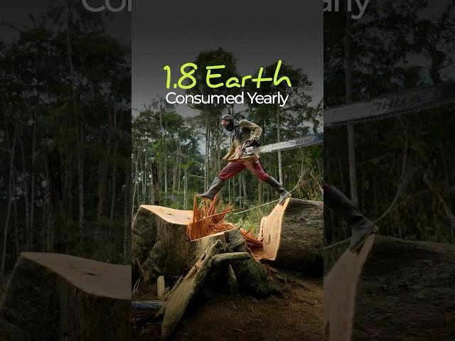 24th July 2025 - Earth’s Deadline.