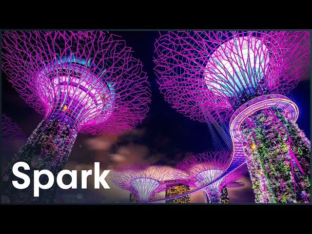 Singapore's Incredible 160-Foot Supertree Statues