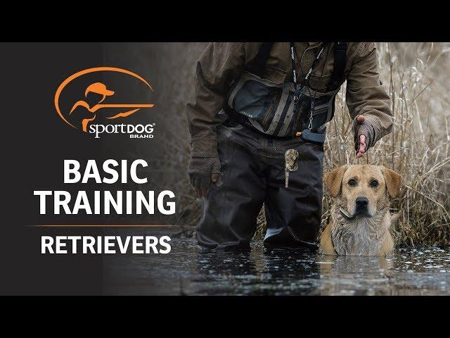 Basic Training :: Retrievers