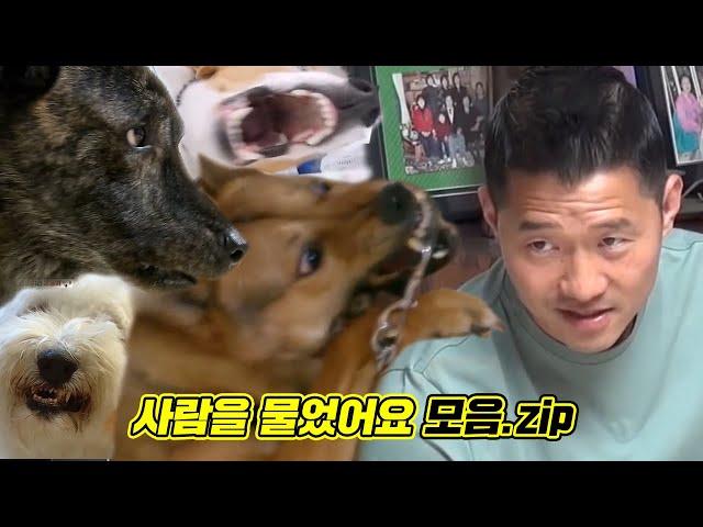 [다시보기] 개는 훌륭하다 레전드! 우리집 강아지는 사람을 문 적이 있어요 모음.zip
