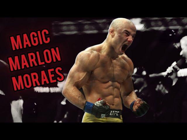 Marlon Moraes Highlights | Brutal Knockouts | Devastating Striking | 2024 | Bantamweight