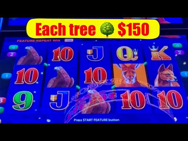 Big red deluxe $400 in live play 20 mins. Each tree $150. See how many I got? Winning session 