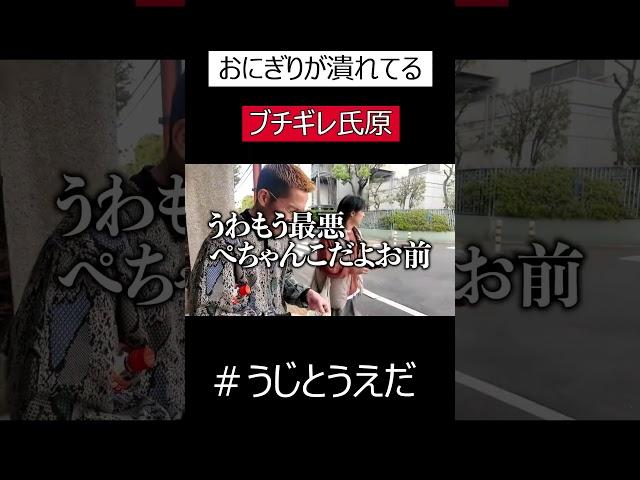 【うじとうえだ】おにぎりが潰れたブチギレ氏原#うじとうえだ切り抜き