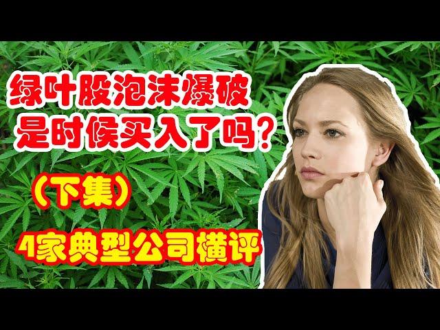 大麻股泡沫爆破 (下集) ，4家典型大麻公司横向评测。EP. 009 有字幕！