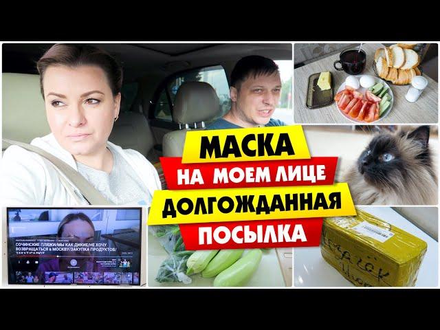 VLOG: Маска на лице / АНАСТАСИЯ РАДКЕВИЧ права (ANASTASIА RADKEVICH) / Vika Siberia LifeVlog