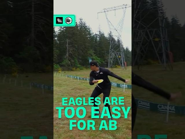 a TEXTBOOK eagle from AB ️