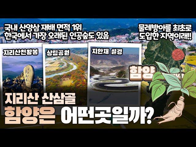 [함양] 지리산 산삼골 경상남도 함양군은 어떤 곳일까? 자세하게 알아보자!