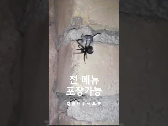 전 메뉴 포장가능 말씀주세요