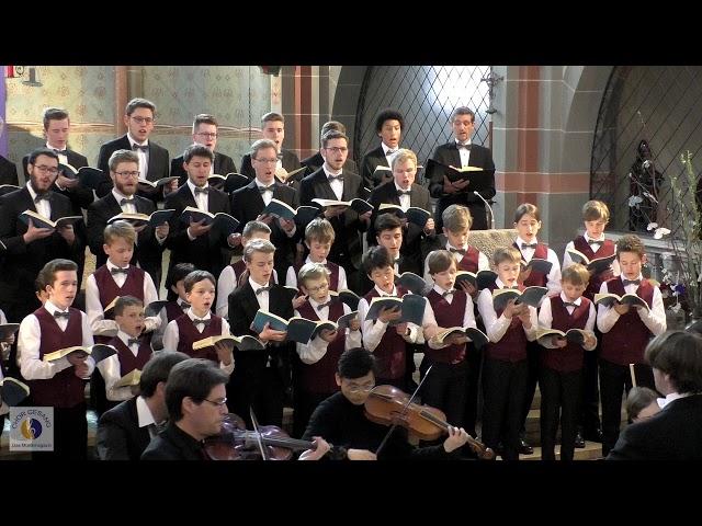 Knabenchor capella vocalis (Christian Bonath) | "Herr, unser Herrscher" aus "Johannes-Passion"