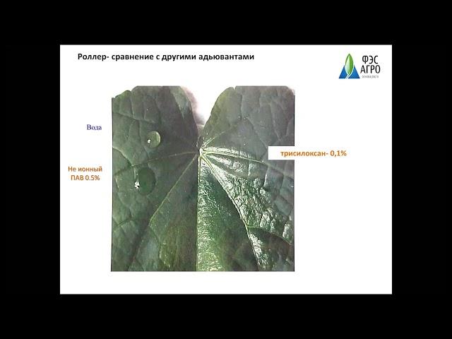 Вебинар ФЭС-Агро