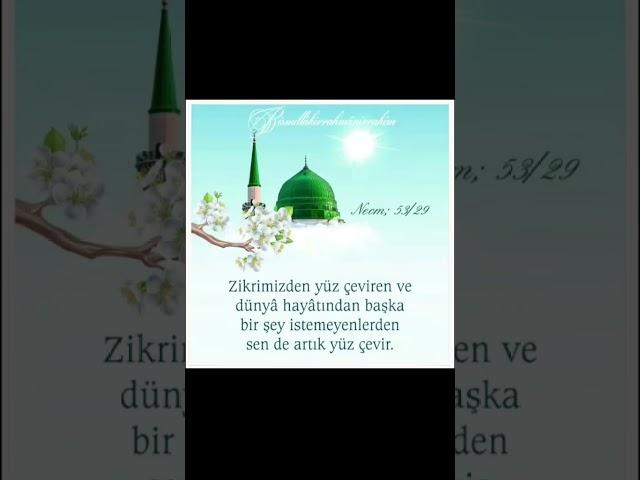 kuran'dan Ayetler #shortvideo #shorts #short #duavakti #namazaşkı #kuran #ayet #süreler #dua #zikir