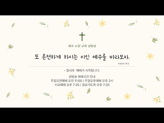 예수소망교회 생방송