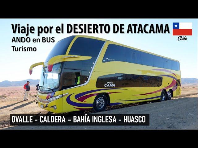 Trip ATACAMA DESERT CHILE by bus Alex Tour | ANDO EN BUS TURISMO