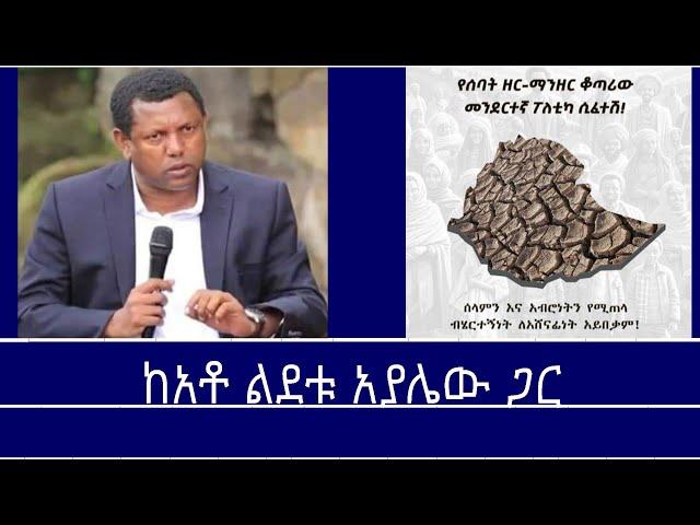 Mengizem media ከአቶ ልደቱ አያሌው ጋር Reeyot Alemu with Lidetu Ayalew