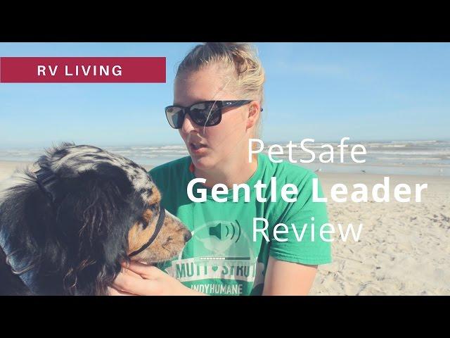 PetSafe Gentle Leader Review