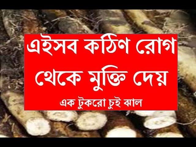 চুই-ঝাল কেন সকলের খাওয়া উচিত ??? Benefits of Chui-Jhal