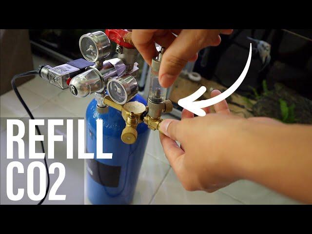 How to Refill Your Aquarium CO2 Tank