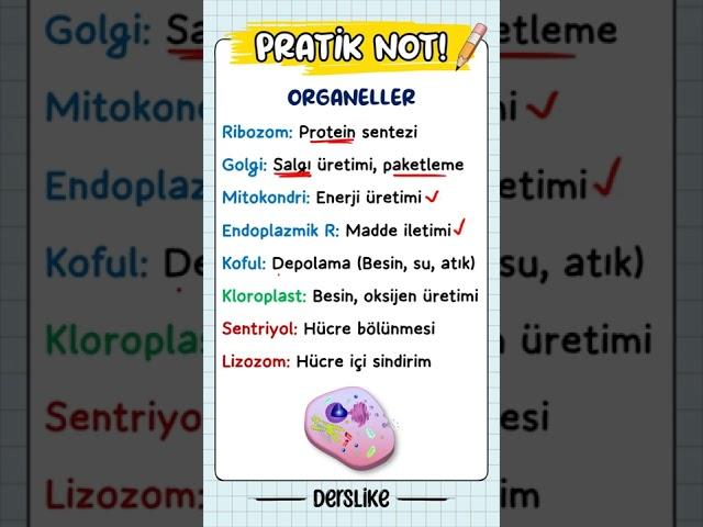 1 Dk'da Organeller #7sınıf #shorts