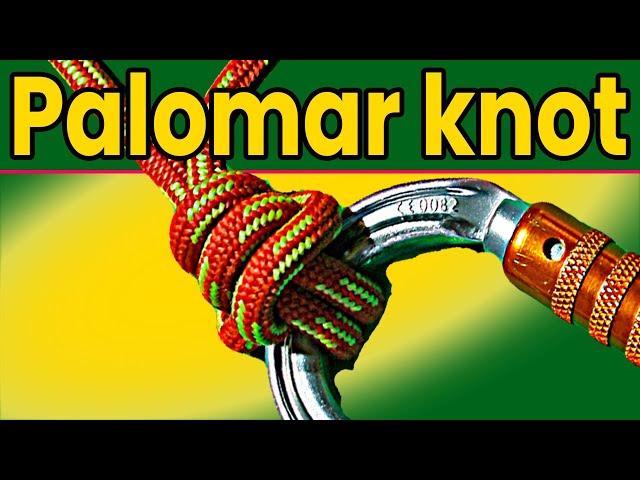 Mastering the Palomar Knot: Essential Fishing Knots