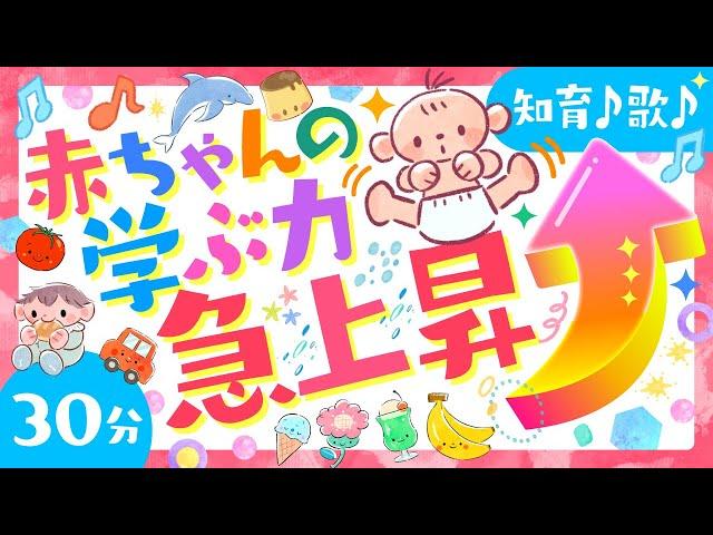 【赤ちゃんが喜ぶ歌/アニメ】赤ちゃんの学ぶ力急上昇️️│ソポアートパーク公式ö│赤ちゃんが笑う 泣き止む 喜ぶうた&いろもりだくさん│0歳から3歳│泣き止む・知育の動画【Baby amime】