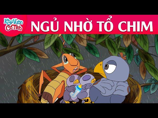 NGỦ NHỜ TỔ CHIM - Truyện cổ tích - Phim hoạt hình - Chuyện cổ tích - Tuyển tập phim hoạt hình hay