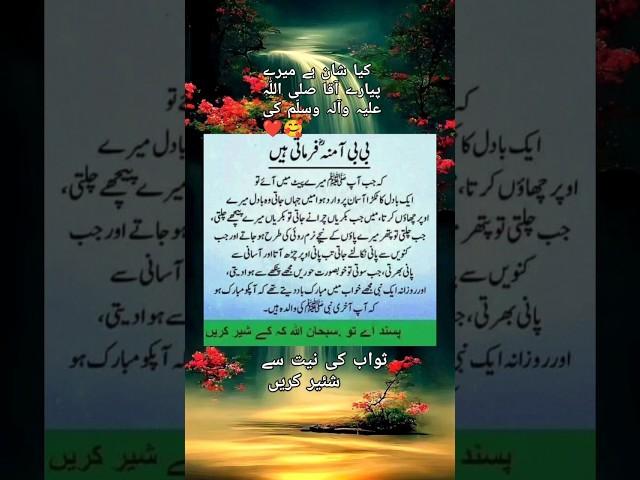 Peaceful pathways #ahadessmubarak #lovemuhammadsaww