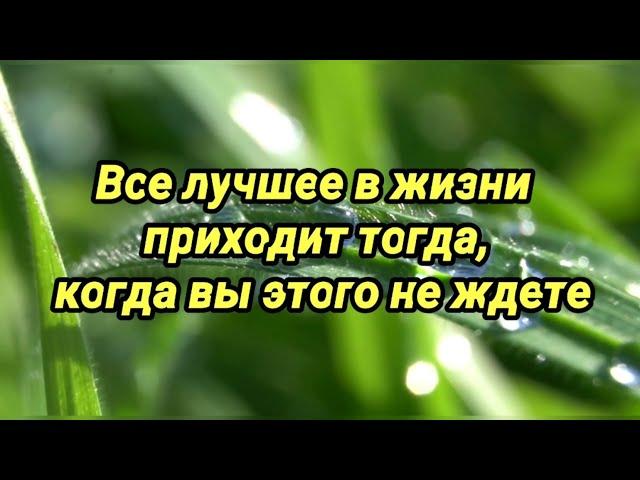 Все лучшее в жизни приходит тогда, когда вы этого не ждете