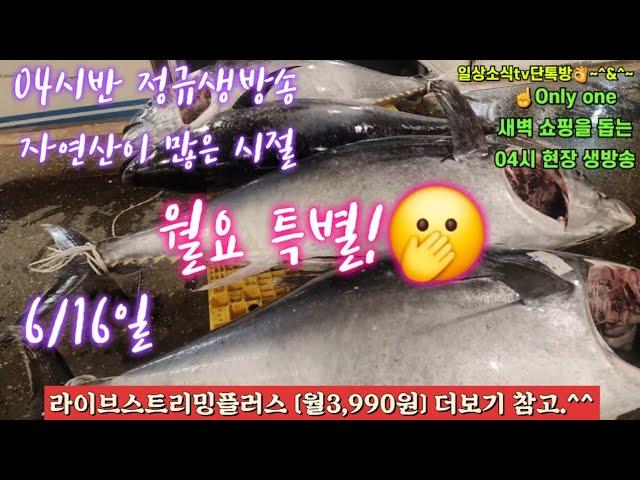 자광 자참 숭어 도다리 자연산횟감 물량폭탄 6/16일 04시반 정규라이브(월~토)️Only one 새롭고 싸고 다양한 노량진수산시장 새벽 쇼핑을 돕는 정규생방송(Live)운영~