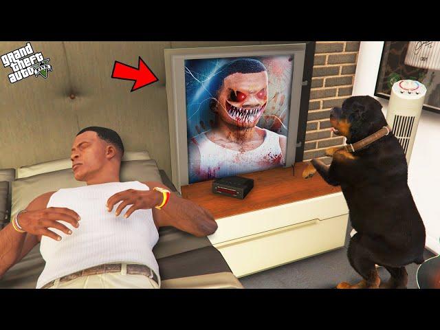 Chop Found Secret Mirror Inside Franklin's Room In Gta 5!