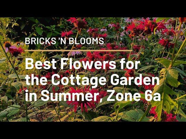 Best Flowers for the Cottage Garden in Summer, Zone 6a  // Bricks 'n Blooms