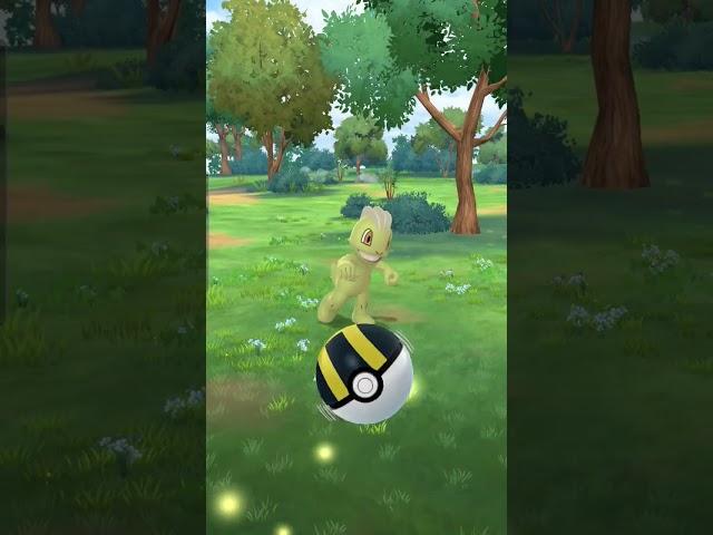 my community day was full of shiny pokemon #pokemon #pokemongo #shinyhunting #subscribe