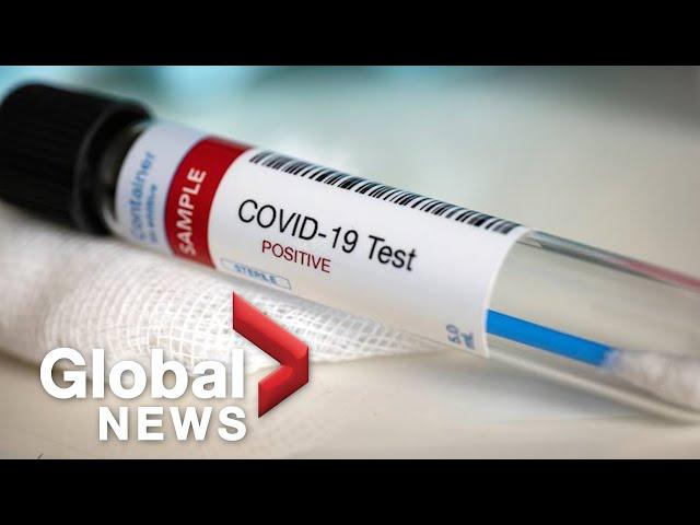 Coronavirus around the world: March 20, 2020