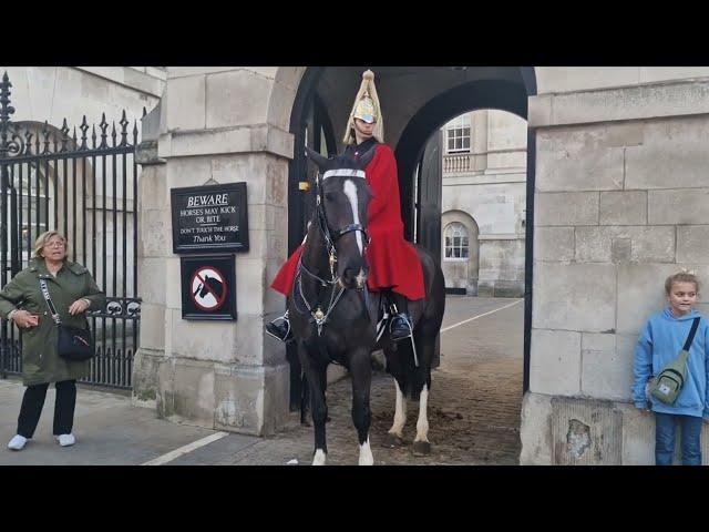 tourists have a close encounter with police horses. she bows in respect to the kings guard