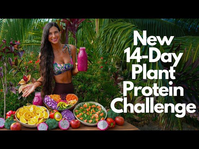 New 14-Day Plant-Protein Challenge + 20% OFF My FullyRaw Recipe App!  500+ Easy Raw Vegan Recipes 