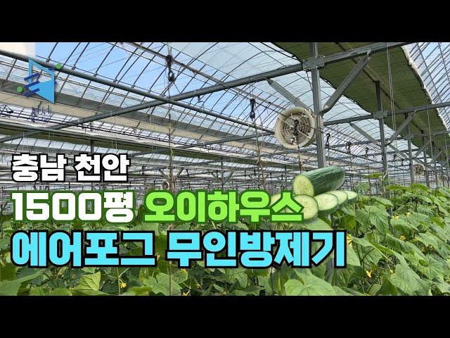 충남 천안시 1500평 오이하우스 에어포그 무인방제기