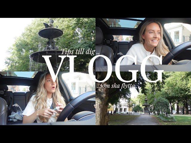 vlogg: vänner och vardag i en ny stad