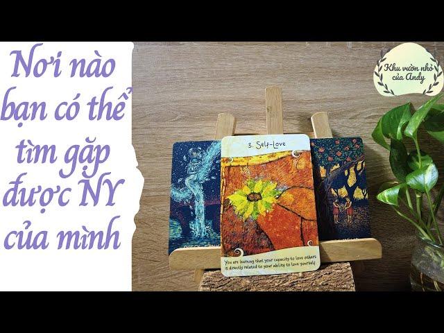 Nơi nào bạn có thể gặp được người yêu tương lai | Chọn 1 tụ bài | Xem tarot