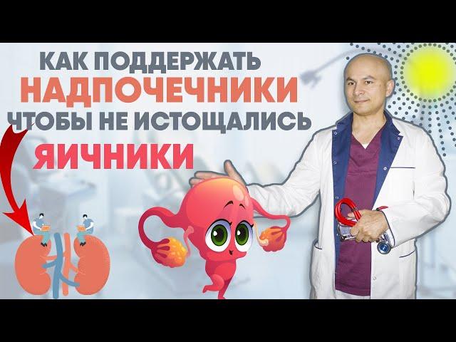 Как поддержать надпочечники чтобы не истощались яичники