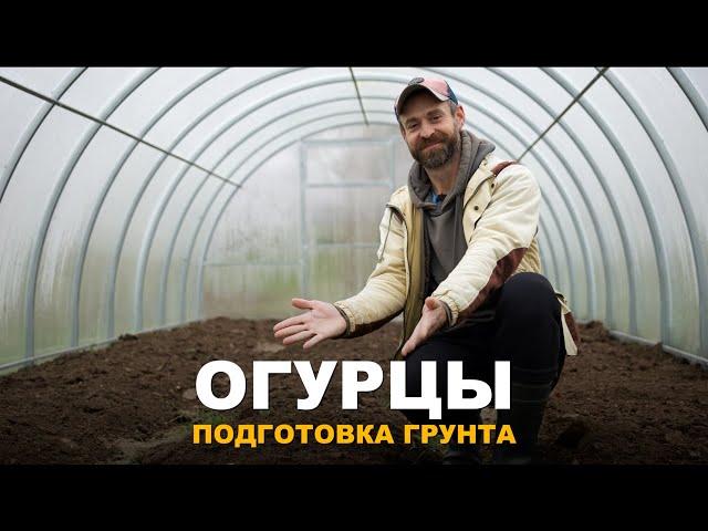 ОСЕННЯЯ ПОДГОТОВКА ГРУНТА. Подготовка грунта для огурцов в теплице. Мои будущие посадки огурцов.